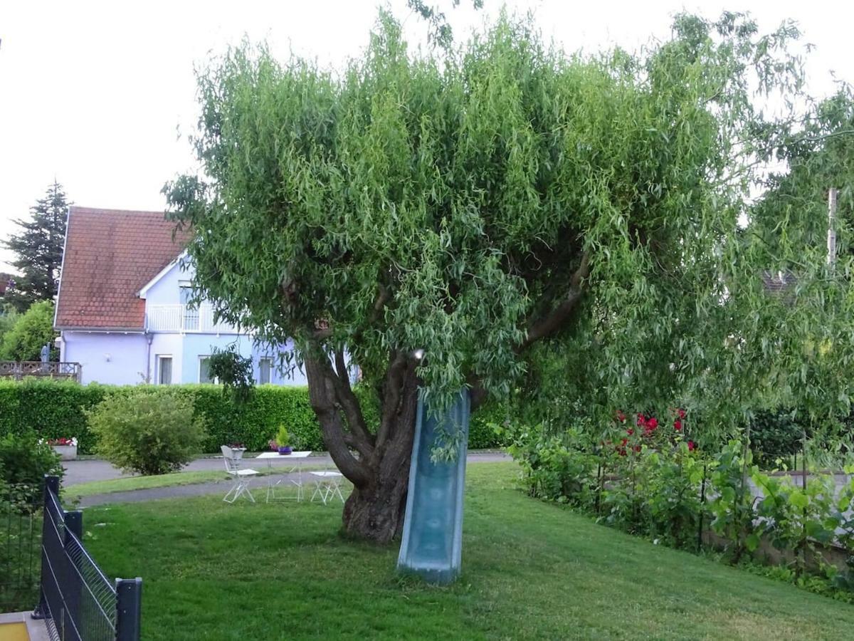 Tiny-house Ferienhaus *
